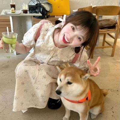 相爱的停损点